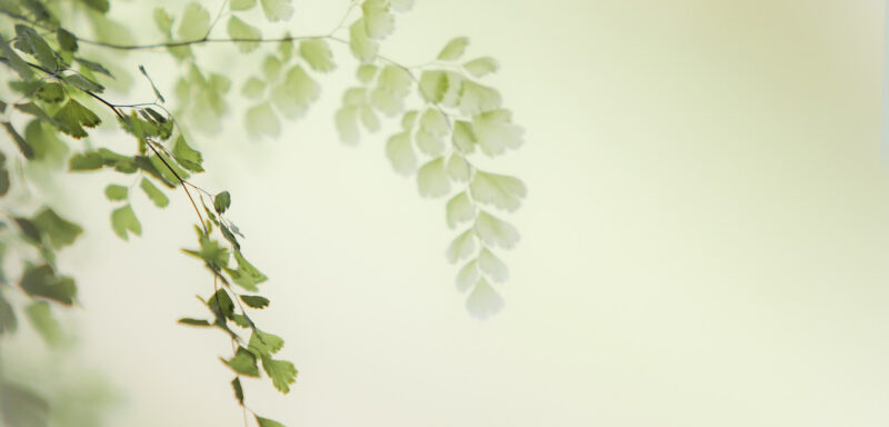 Nature & Fleuri